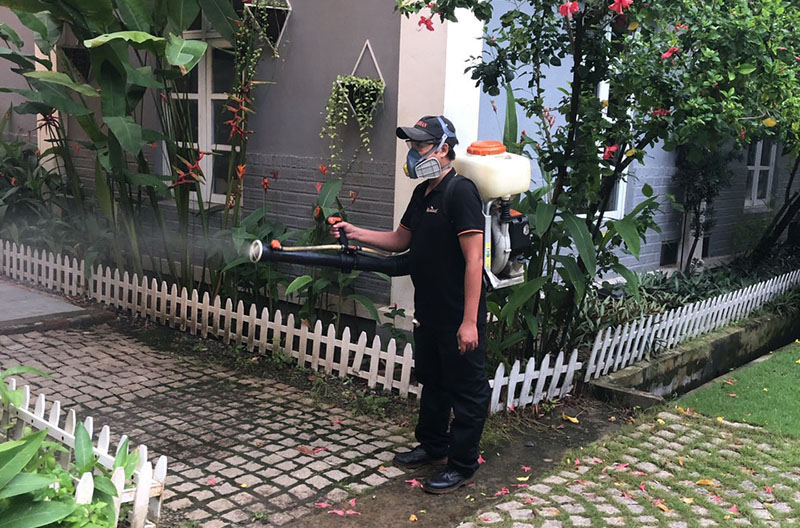 Dịch vụ diệt côn trùng - Hiệu quả và đáng tin cậy
