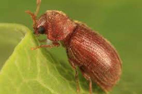 Nhóm <b>ĐẶC BIỆT</b>
